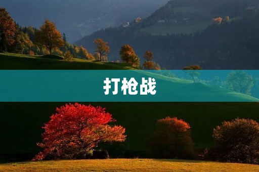 打枪战