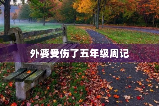 外婆受伤了五年级周记 外婆受伤了五年级周记