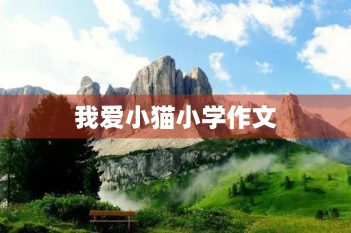 我爱小猫小学作文