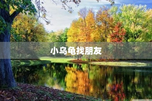 小乌龟找朋友 小乌龟找朋友