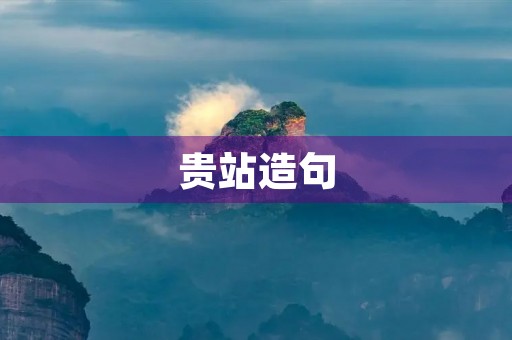 贵站造句
