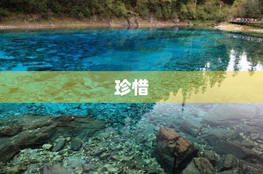 珍惜