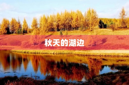 秋天的湖边 秋天的湖边