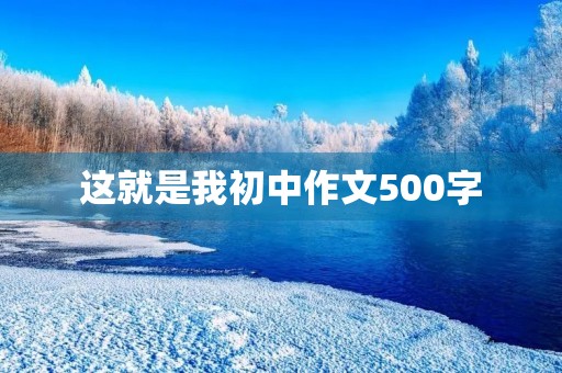 这就是我初中作文500字 这就是我初中作文500字