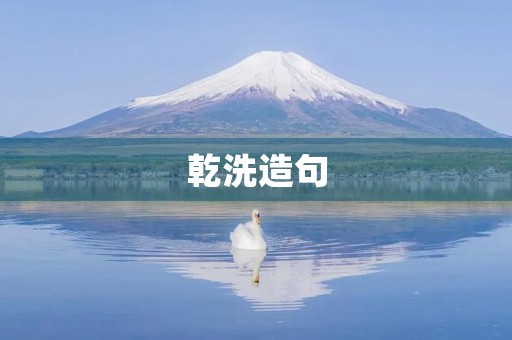 乾洗造句