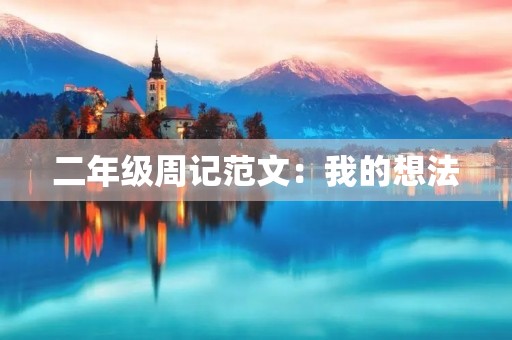二年级周记范文：我的想法