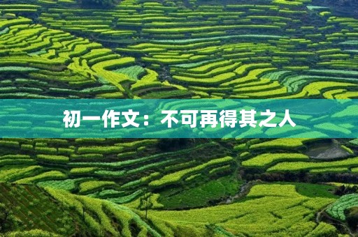 初一作文:不可再得其之人 初一作文:不可再得其之人