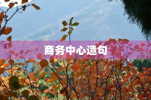 商务中心造句 商务中心造句
