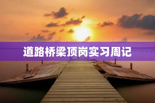 道路桥梁顶岗实习周记 道路桥梁顶岗实习周记