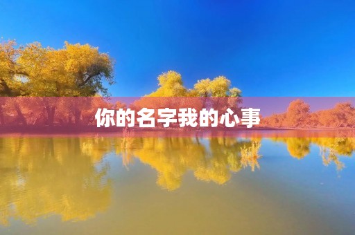 你的名字我的心事