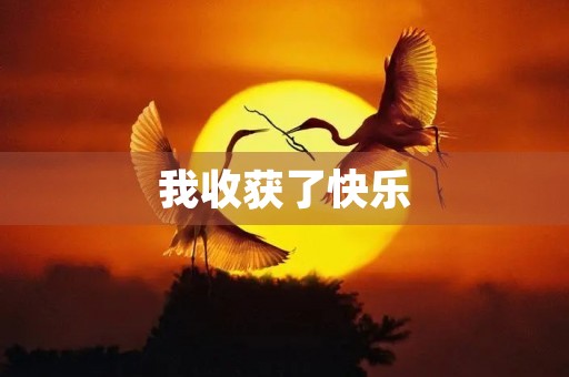 我收获了快乐 我收获了快乐