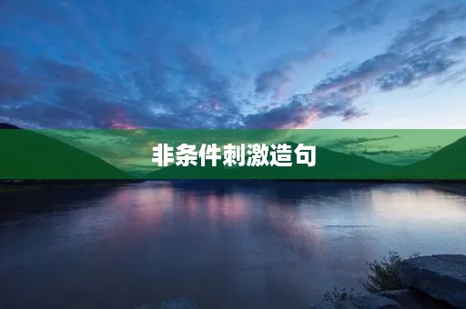 非条件**造句 非条件**造句