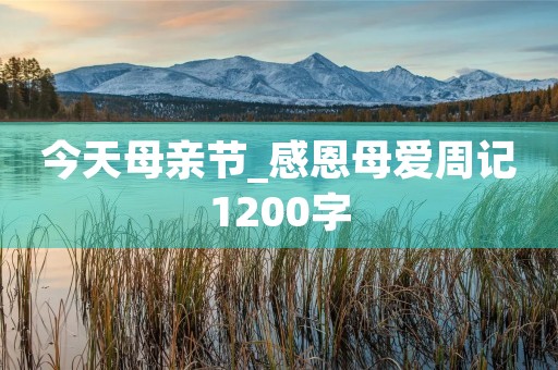 今天母亲节_感恩母爱周记1200字