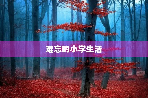 难忘的小学生活 难忘的小学生活