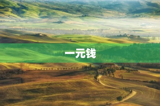一元钱