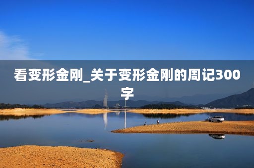 看变形金刚_关于变形金刚的周记300字