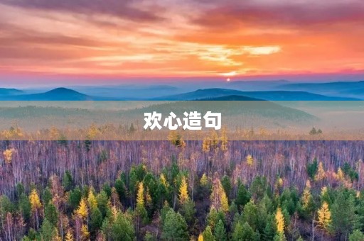 欢心造句