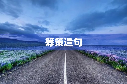 筹策造句