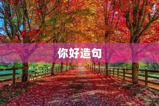 你好造句