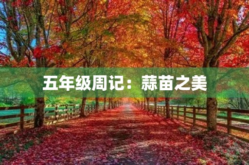 五年级周记:蒜苗之美 五年级周记:蒜苗之美