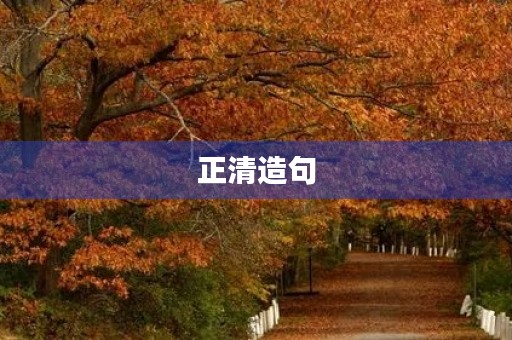 正清造句