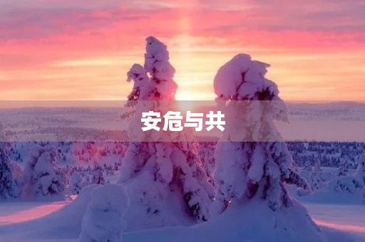 安危与共 安危与共