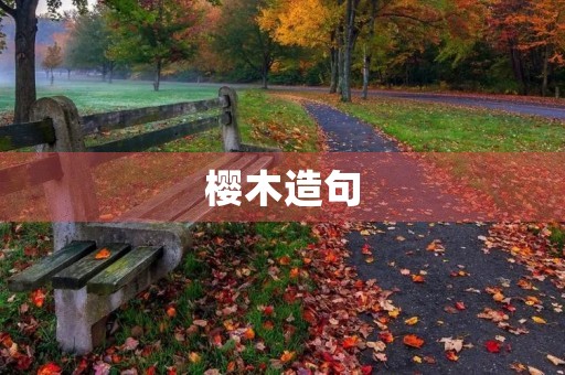 樱木造句