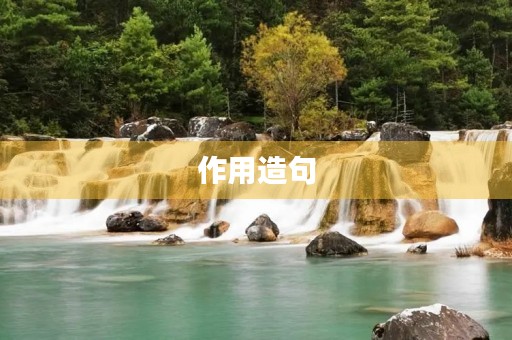 作用造句