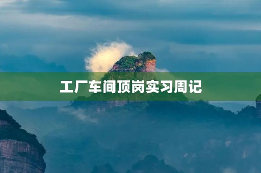 工厂车间顶岗实习周记 工厂车间顶岗实习周记