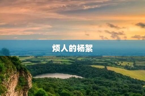 烦人的杨絮