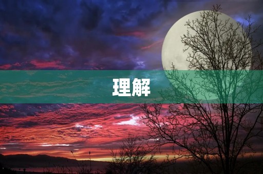 理解