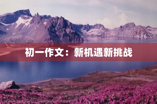 初一作文:新机遇新挑战 初一作文:新机遇新挑战