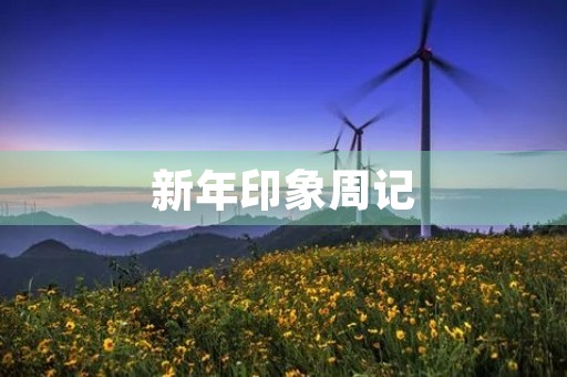 新年印象周记