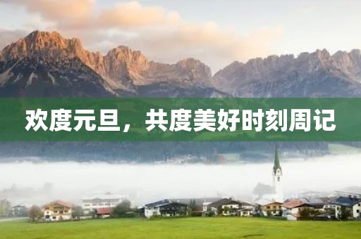 欢度元旦，共度美好时刻周记