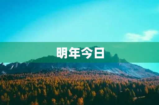 明年今日 明年今日