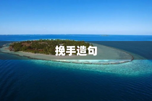 挽手造句