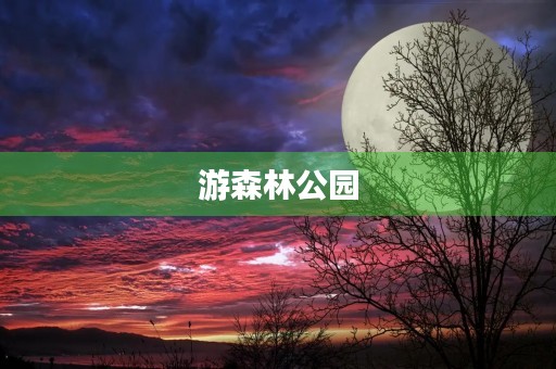 游森林公园 游森林公园