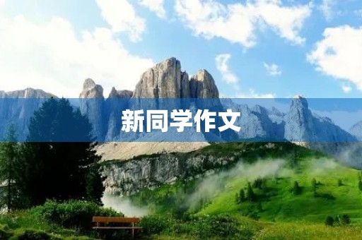 新同学作文
