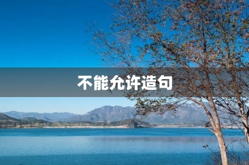 不能允许造句
