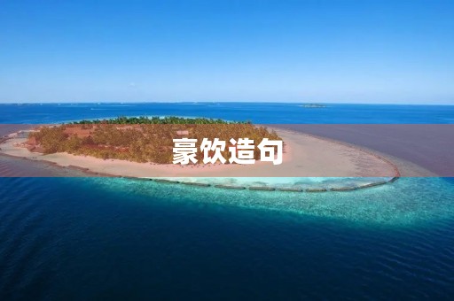 豪饮造句