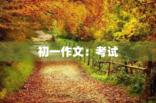 初一作文：考试