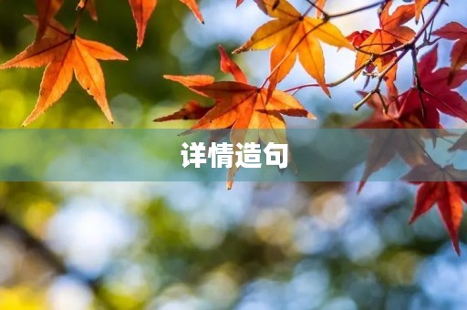 详情造句
