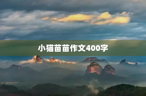 小猫苗苗作文400字 小猫苗苗作文400字