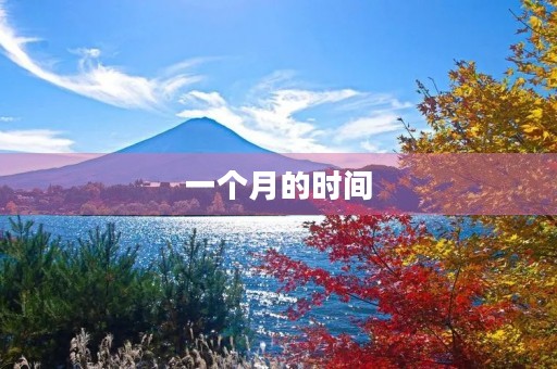 一个月的时间