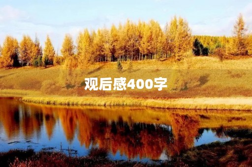 观后感400字