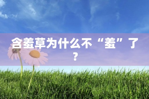 含羞草为什么不“羞”了? 含羞草为什么不“羞”了?