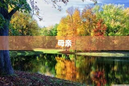母亲