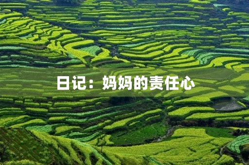 日记:妈妈的责任心 日记:妈妈的责任心