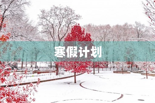 寒假计划 寒假计划