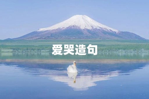 爱哭造句